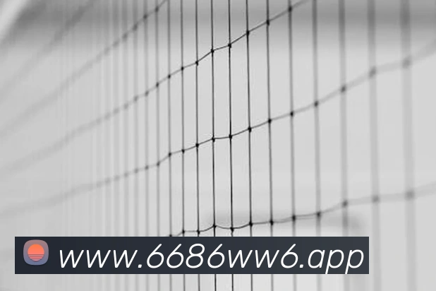 6686APP 封面图